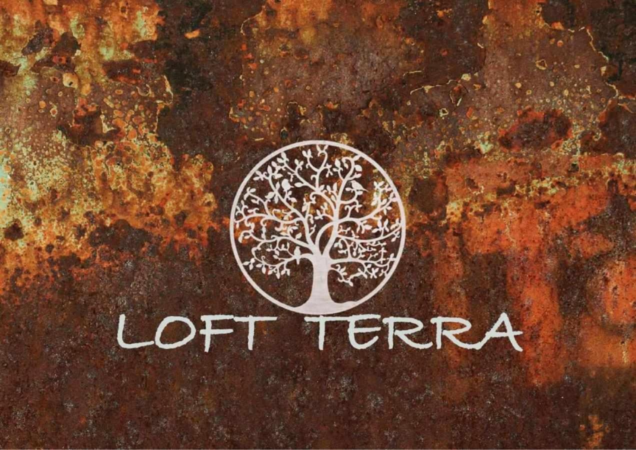 Apartamentos Terra Y Onix Zona Centro אלדה מראה חיצוני תמונה